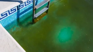 How to Choose the Right Pool Service in Austin, TX